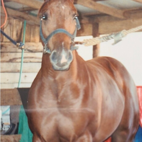 Meet your Posher, Victoria - Picture 4 of 13